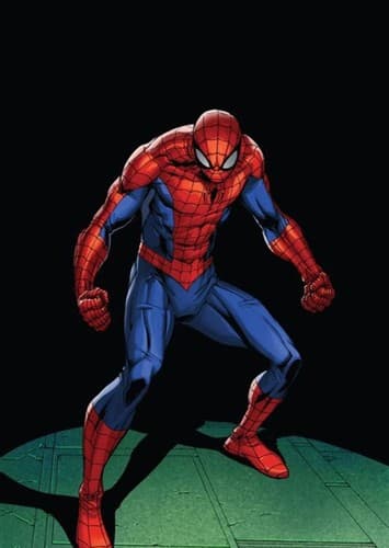 Spiderman / Peter Parker