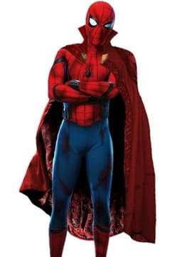Spiderman (zombie Hunter)