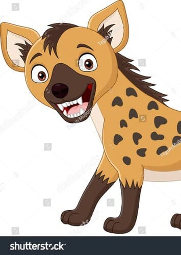 Spotted Hyena