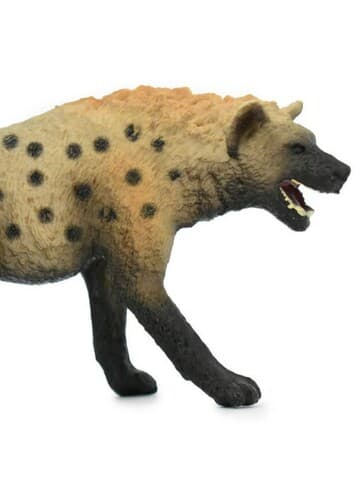 Spotted Hyena