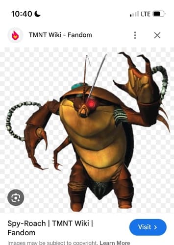 Spy roach