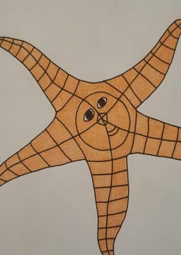 Starfish