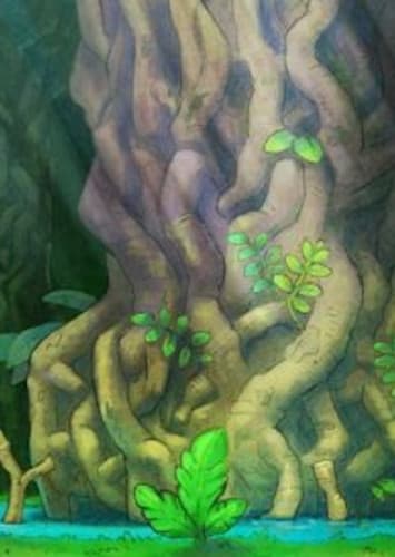 Starter Options (Jungle)