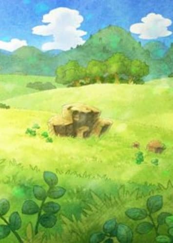 Starter Options (Plains)