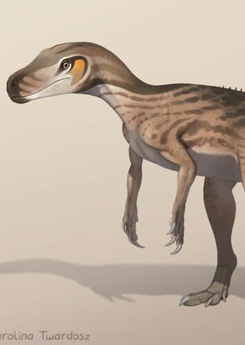 Staurikosaurus