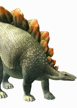 Stegosaurus