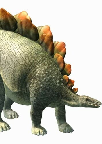 Stegosaurus