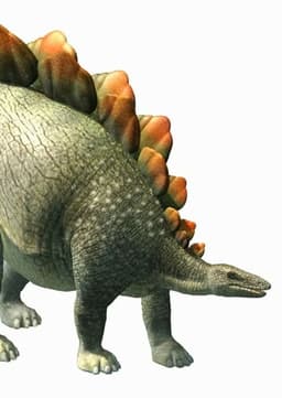 Stegosaurus