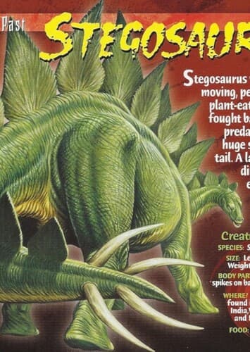 Stegosaurus