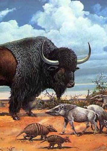 Steppe Bison