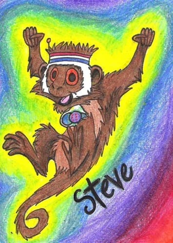 Steve the monkey