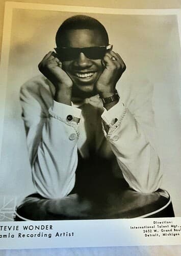 Stevie Wonder