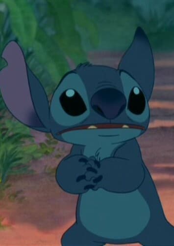 Stitch