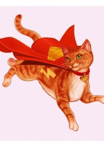 Streaky the Supercat