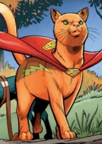 Streaky the Supercat