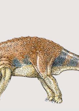 Striped Saltasaurus