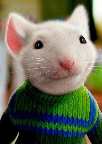 Stuart Little