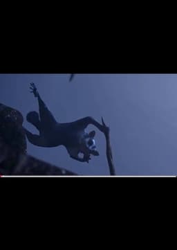 Sugar gliders father