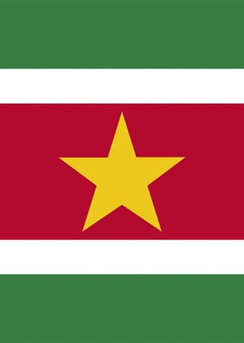 Surinamese