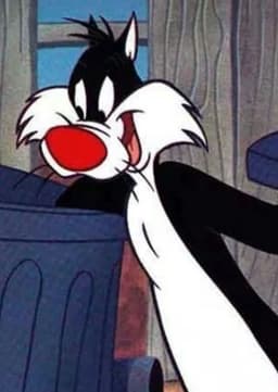 Sylvester The Cat