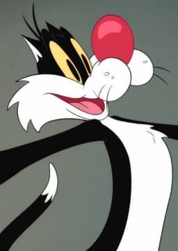 Sylvester
