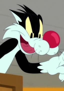 Sylvester