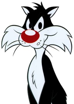 Sylvester
