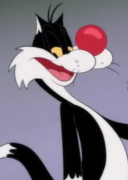 Sylvester