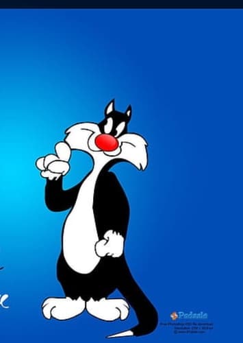 Sylvester The Cat