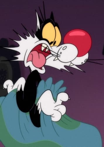 Sylvester The Cat