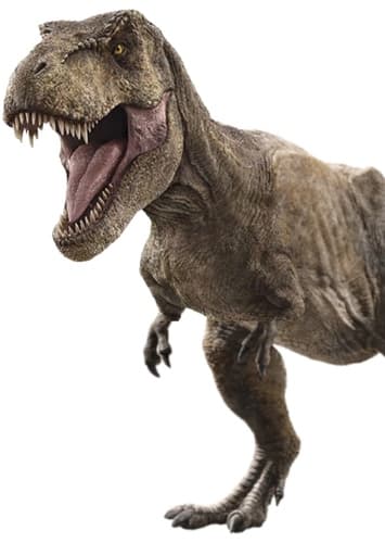 T. rex