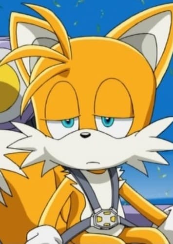 Tails the Fox