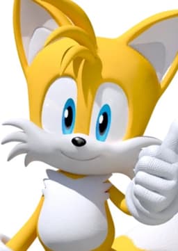 Tails The Fox