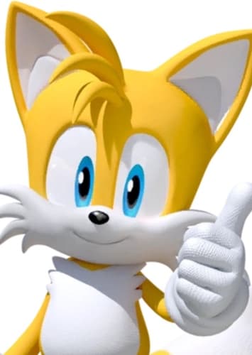 Tails The Fox