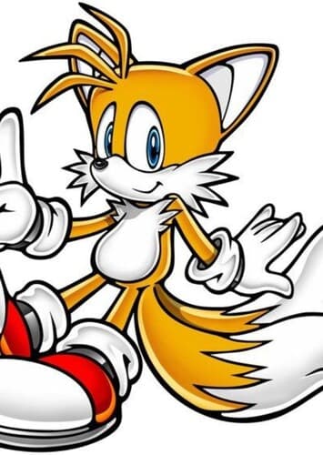 Tails The Fox