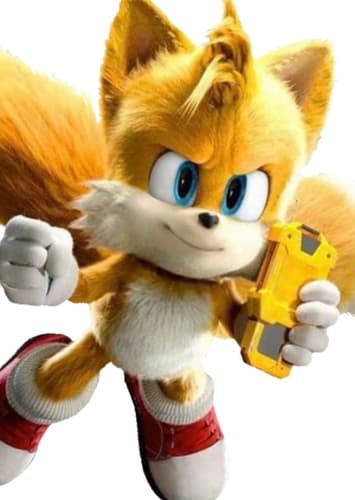 Tails The Fox