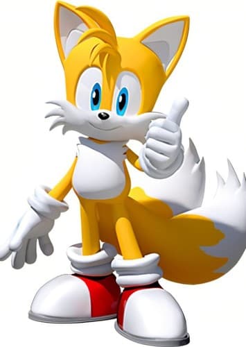 Tails The Fox