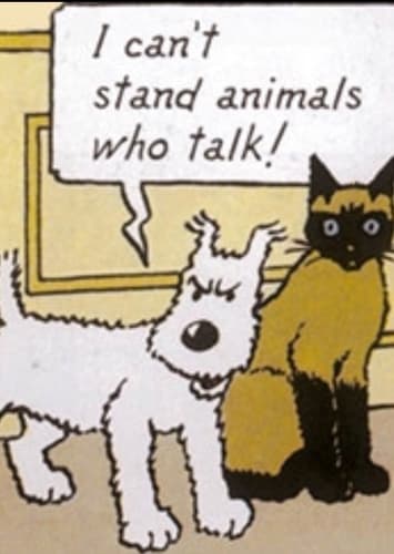 Talking Animal