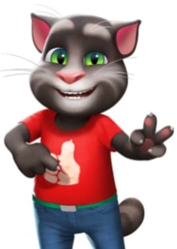 Talking Tom jr