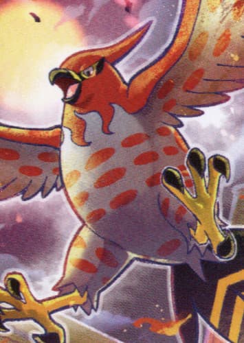 Talonflame / ファイアロー