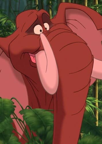 Tantor