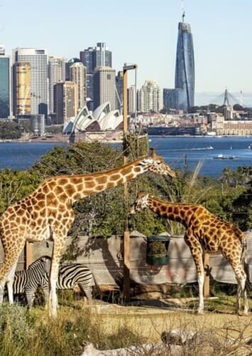 Taronga Zoo