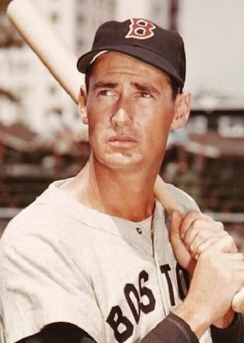 Ted Williams