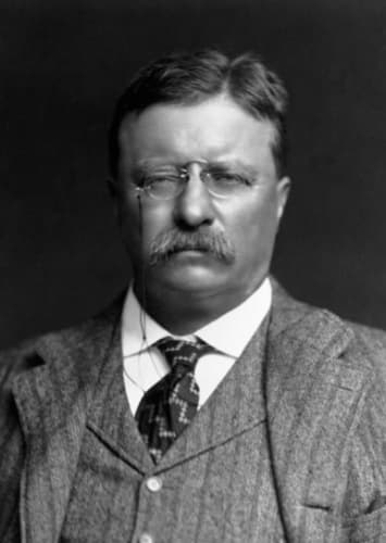 Teddy Roosevelt