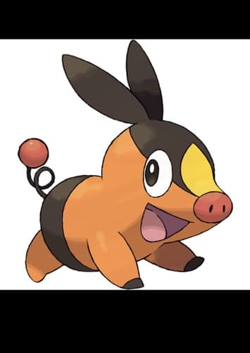 Tepig