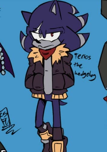 Terios The Hedgehog