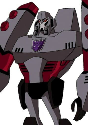 TFA megatron