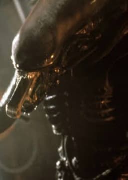 The Alien