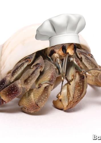 The Chef Crab