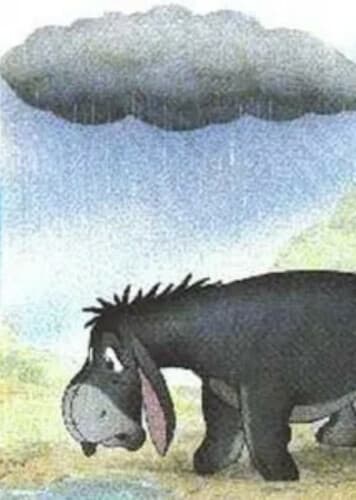 The Eeyore